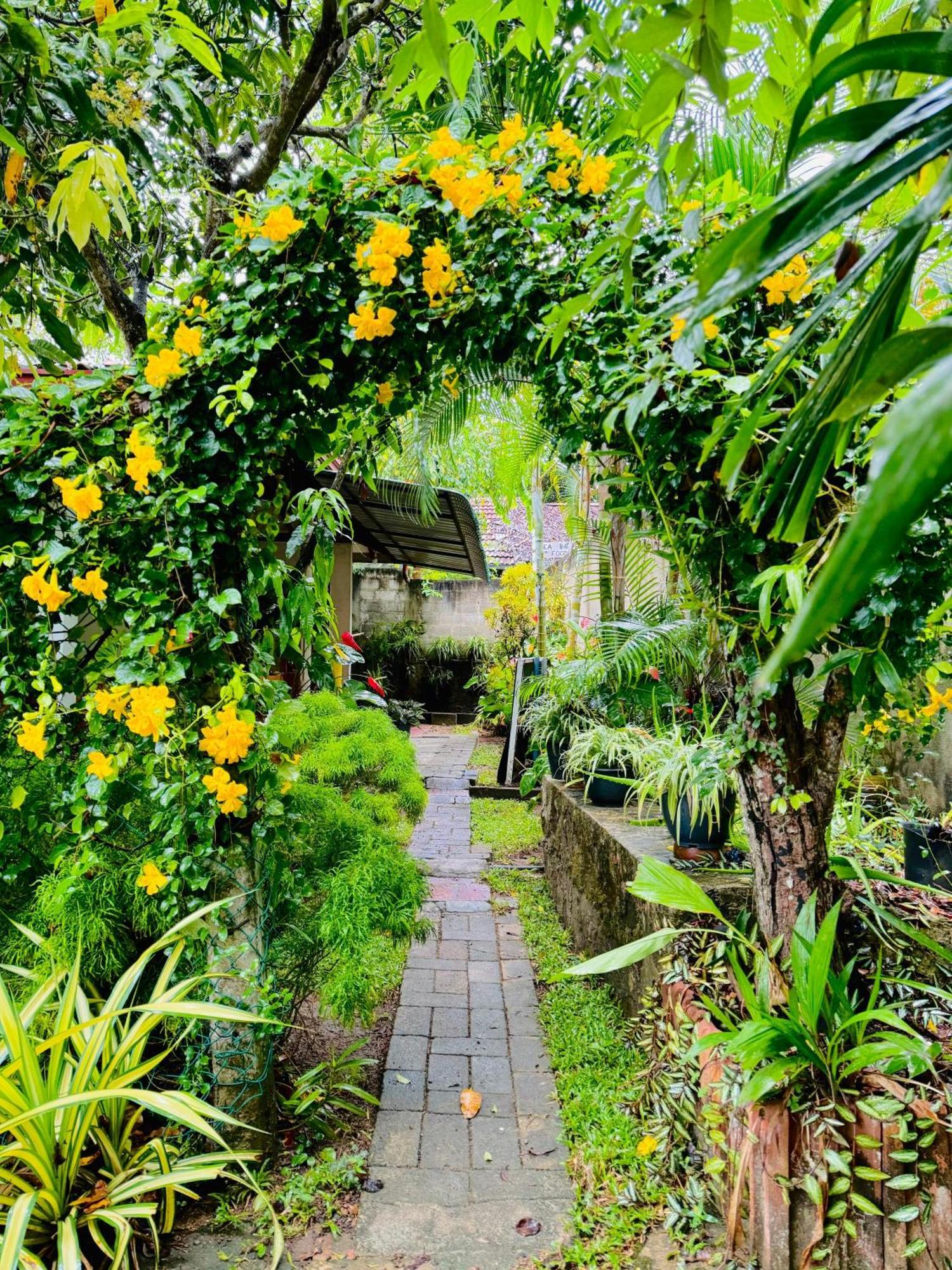 טנגלה Nethmi Homestay & Restaurant מראה חיצוני תמונה