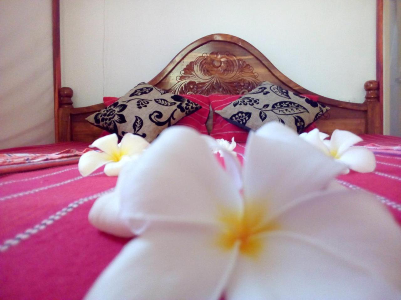 טנגלה Nethmi Homestay & Restaurant מראה חיצוני תמונה